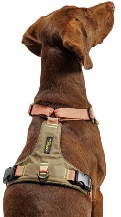 Cloud7 Y-2-Harness Khaki / M-L/XL Peach