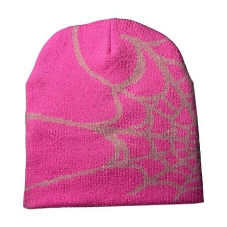 Y2k Hue Spider Web Hat Y2k Strikket Hue Skullies Hue Spider Web Hue Baggy Slouchy Hue Hovedbeklædning Skull Cap
