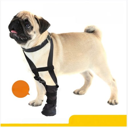 Hund tasskydd med krage - Skadeskydd & slickförebyggande stövel