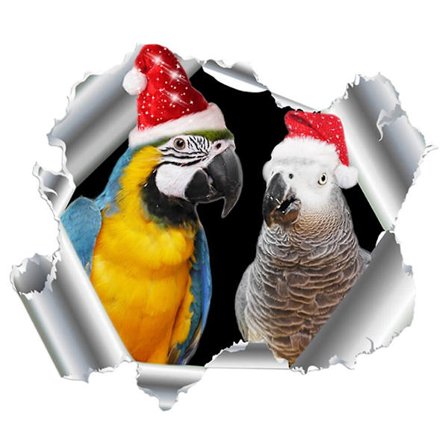 Magneettinen auton papukaija koriste magneetti puskuritarra magneettinen auton tarra luova auton tarra (25,4X11cm, kuten kuvassa näkyy)