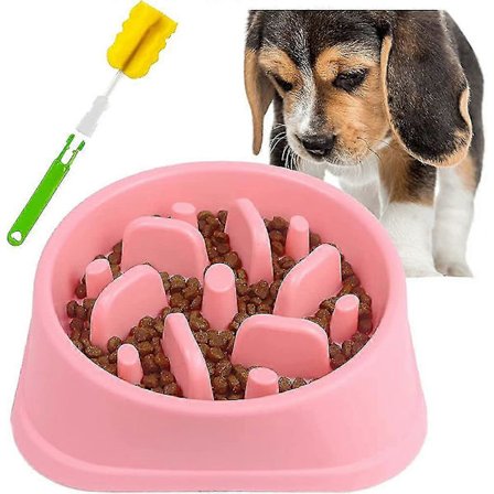 Hidasruokintakuppi Koirien Ja Kissojen. Anti-ahmimiskuppi Vedenkulho Liukumattoman Crday Lahjan Kanssa