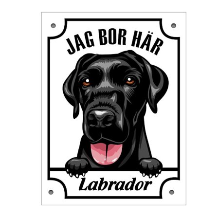 Metallskilt Jeg bor her Labrador Tittende hund skilt svart