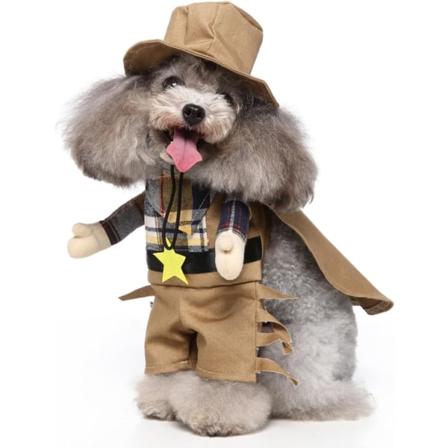 Koiran Halloween-asu - Spooktacular Cosplay-asu Pienille ja Keskikokoisille Koirien ja Kissoille Hatin Mukana - Vaatteet Lemmikkieläinten Halloween-