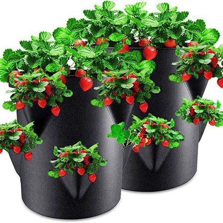 Filt Jordbærplanteposer - 45 x 35 cm - Pose for hager, balkonger, planter, poser for jordbær, hvitløk, løk, urter