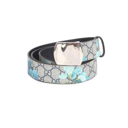 Gucci Vintage, Pre-owned Belts Blauw, Dames, Maat:ONE Size,Canvas
