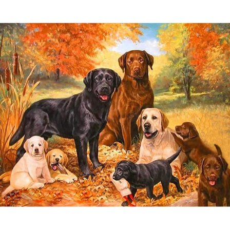 DIY 5D(49)30x40cm Timanttimaalaussarja aikuisille Diamant Pai