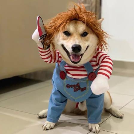 2 Stk Hundetøj Hundekostumer S