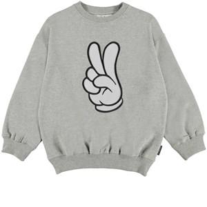 Molo Gray Melange Mar GOTS Sweatshirt 164 cm - Jumpers and knitwear - 164 cm - Grey - Junge