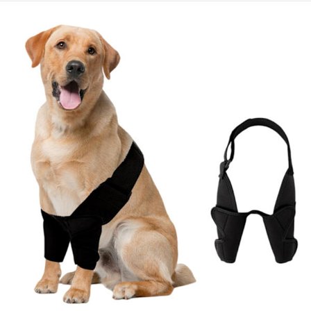 Koiran kaksinkertainen etujalan polvituki - nivelten tuki ja palautuminen L