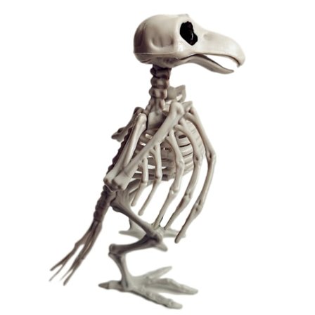 Halloween Djurskelett Ben Skräcksimulering Skelett Halloween Party Dekoration