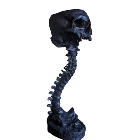 Plantepot med kranium og rygsøjle Retro menneskeskallehoved blomsterpotte Velegnet til hjem kontor udendørs