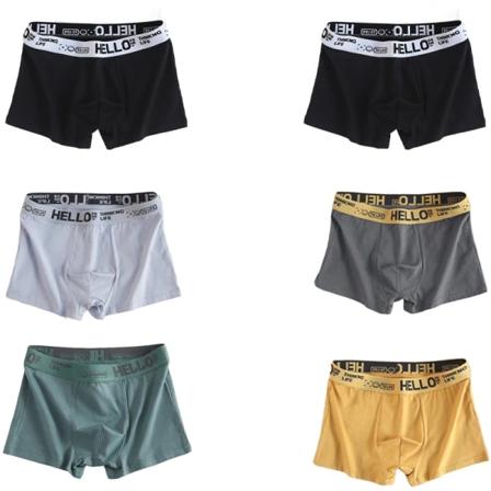 6st Herrunderkläder Herr Bomullskalsonger Herr Ren Herr Trosor Shorts Andas Boxer Bekväma mjuka Plus size Mixed color XXL 65-75kg