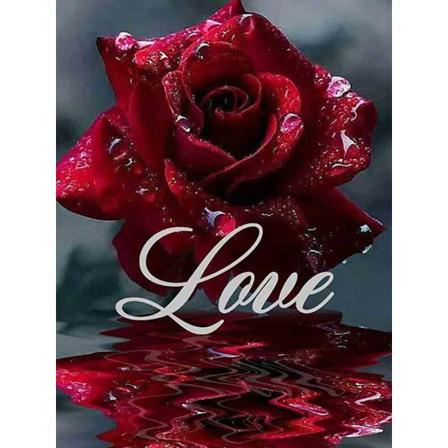 30x40cm, rød rose 5d diamantmalet rhinestones broderi lærred