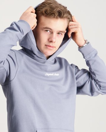 Jack & Jones JORNORREBRO EMB SWEAT HOOD Bleu Sweats à capuche Garçon - Kids Brand Store