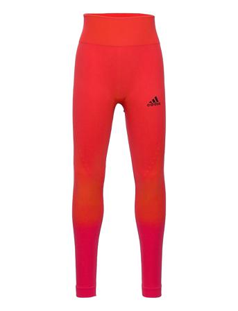 Aeroknit Aeroready Seamless Tights W Red Adidas Performance