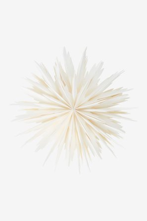 Jotex - BELLATRIX julestjerne ø 51 cm Hvit - Kjøp Julestjerner hos Jotex