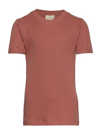 T-Shirt Ss Pointelle T-shirts Short-sleeved Brun En Fant
