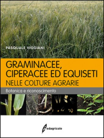 Graminacee, ciperacee ed equiseti nelle colture agrarie. Botanica e riconoscimento Pasquale Viggiani