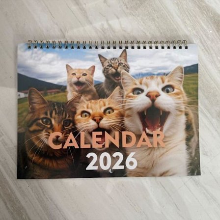 2026 Ny gränsöverskridande storsäljare Amazon engelsk Highland Cow Katt Hund Kalender/Skrivbordskalender 16 Fem Katter