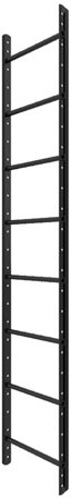 W.steps WWRS Vägg- och takstege svart 2400 mm, Stegar & ställningar