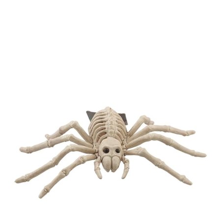 Hedlunds Skelett Spindel Partytillbehör 15X23X6