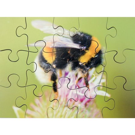 Pussel Småkryp 8 olika pussel - Lyreco - Skola och förskola - Lekmaterial - Pussel - Askpussel