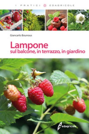 Lampone sul balcone, in terrazzo, in giardino Giancarlo Bounous