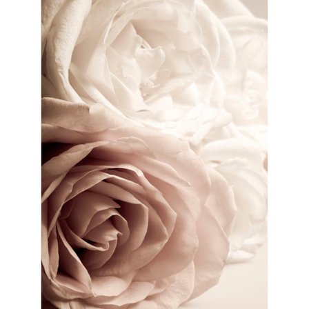 Blomma Affisch 50×70 CM