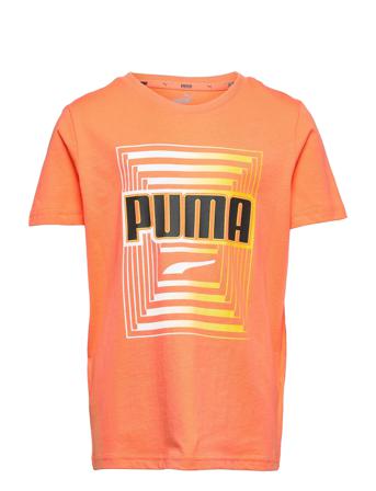 Alpha Graphic Tee B Orange PUMA