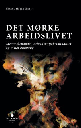 Det mørke arbeidslivet - Bok av Anne Mette Ødegård, Jan-Erik Støstad, m.fl. - Paperback