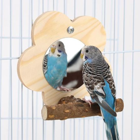 Fuglespeil med trepinne, fuglebur moro plattformstativ leker