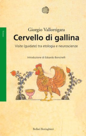 Cervello di gallina. Visite (guidate) tra etologia e neuroscienze Giorgio Vallortigara
