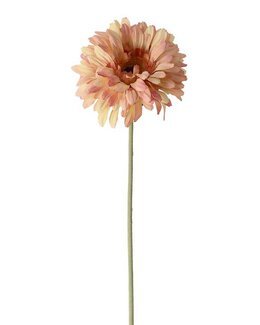 Tekokasvi leikkokukka Gerbera 55 cm 1 kpl Oranssi