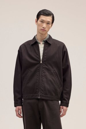 NN.07 Petrus Male Brown