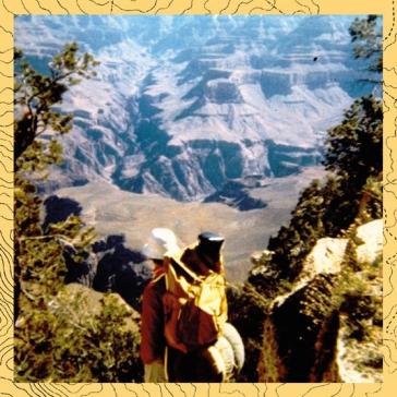 Music, language and environment. environ David Dunn