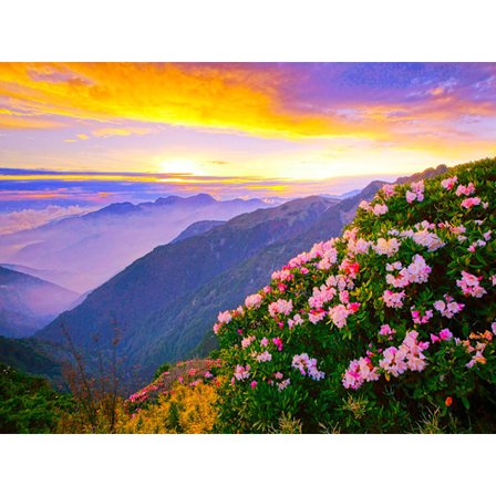 30x40cm 5D DIY Diamantmaleri Fuld, Bjerg og Blomster#B, DIY