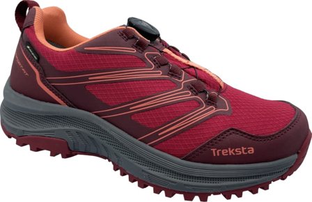 TrekSta Unisex Larvik Boa Gtx Men hiking shoes Pink 39