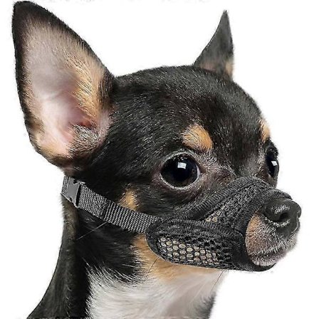 Mesh-munnbind for hunder med kort snute og små/mellomstore hunder, anti-biting, fokus på brakiocefale hunder som Chihuahua Pomeranian 2025