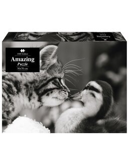 Puslespil Venner 1000 brikker - 1Conzept