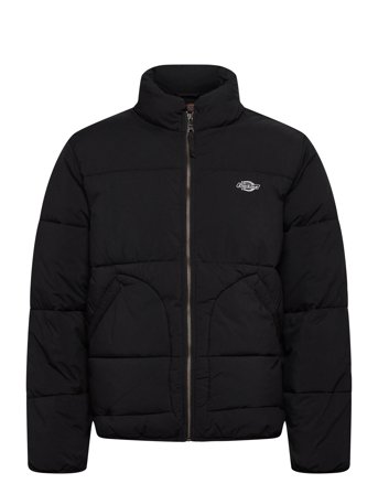 Dickies | M Summerdale Puffer | M