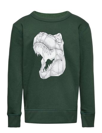 Kids Graphic Crewneck Sweatshirt Green GAP