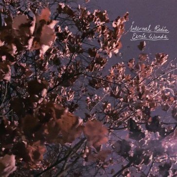 Internal radio EERIE WANDA