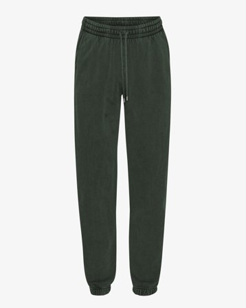 Organic Sweatpants - Midnight Forest S