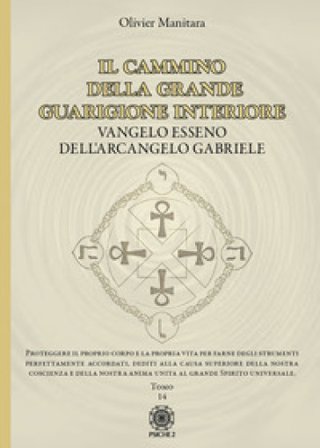 Il cammino della grande guarigione interiore. Vangelo esseno dell'arcangelo Gabriele. Vol. 14 Olivier Manitara