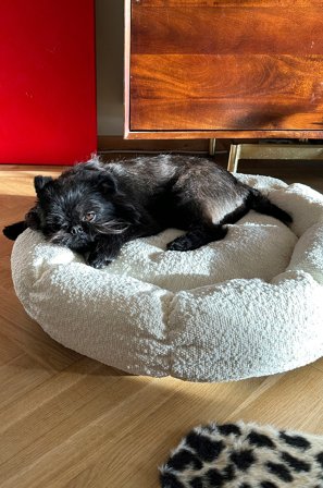 Jotex - Hunde-/katteseng White - OBI - Kjøp Hundeseng/katteseng hos Jotex