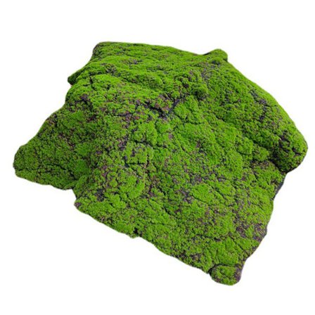 100cm * 100cm konstgjord mossa gräsmatta, grön mossa utbuktande växt