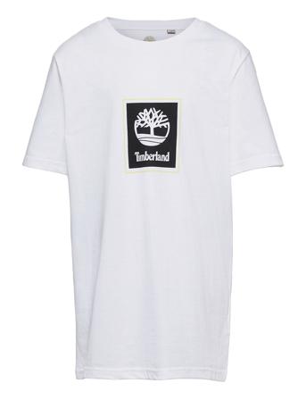 Short Sleeves Tee-Shirt White Timberland