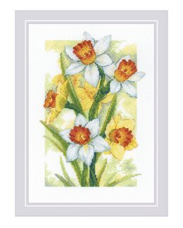 Stickpackung Bild Narzissen