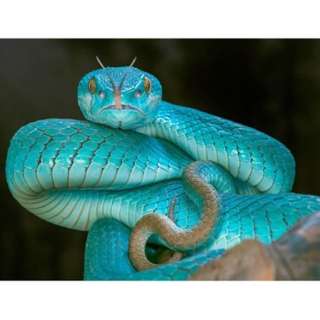 30 x 40 cm, Diamantmålning Broderi Diamantmålning Canvas 5