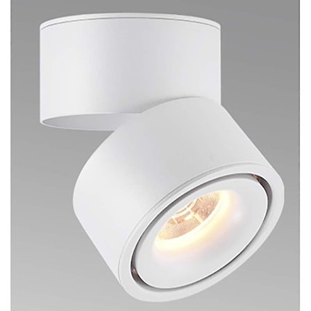 Ny, velegnet 10W LED Overflademonteret Spotlight, 360° Drejelig Loft Spotlight, Køkken, Stue, Butiksbelysning, Varmt Hvidt (3000K)